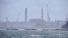 Kyodo: Nhật Bản nói không thấy có chất phóng xạ trong cá vùng Fukushima