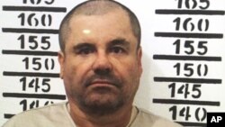 Trùm ma túy Mexico El Chapo đứng chụp ảnh chân dung phạm nhân tại nhà tù Altiplano ở Almoloya, Mexico, ngày 8 tháng 1 năm 2016.