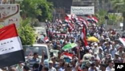 مصر: التحریر چوک میں مظاہرہ، سیاسی اصلاحات کا مطالبہ